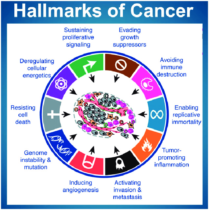 diagram of the hallmarks of cancer